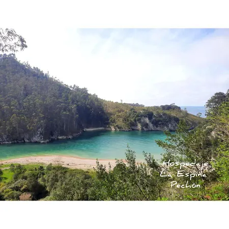 La Espina De